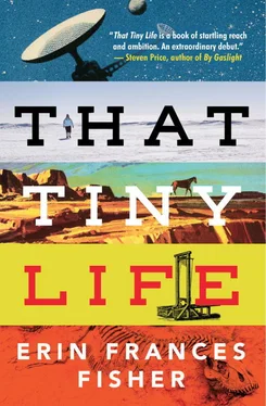 Erin Fisher That Tiny Life обложка книги