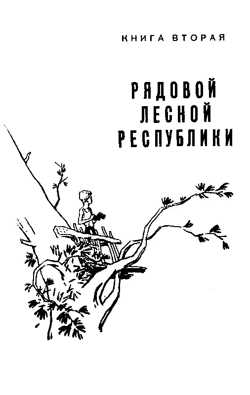 Книга вторая РЯДОВОЙ ЛЕСНОЙ РЕСПУБЛИКИ Глава первая КЛИМ И ВОЛОДЯ Клим - фото 20