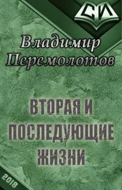 Владимир Перемолотов Вторая и последующие жизни [СИ] обложка книги