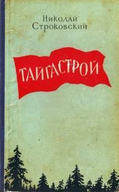 Николай Строковский Тайгастрой [издание 1957 года] обложка книги