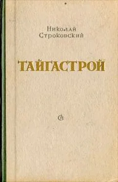 Николай Строковский Тайгастрой [издание 1950 года] обложка книги