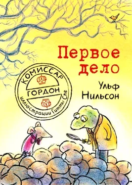 Ульф Нильсон Первое дело обложка книги