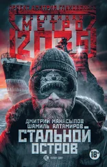 Дмитрий Манасыпов - Метро 2035 - Стальной остров