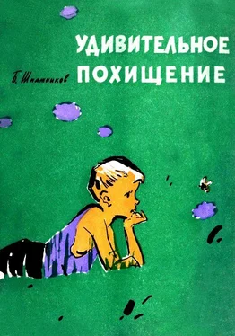 Борис Шпажников Удивительное похищение обложка книги