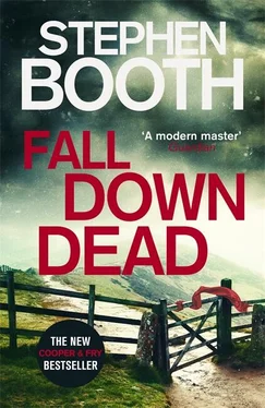 Стивен Бут Fall Down Dead обложка книги