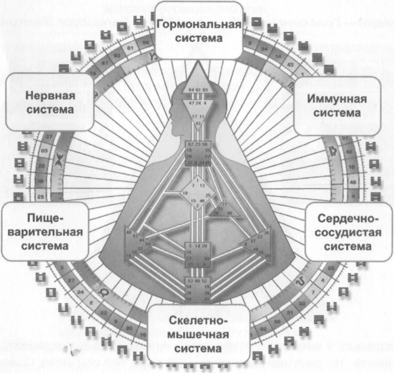 Нас всегда привлекает то к чему мы открыты Открытые Эмоциональные системы - фото 2