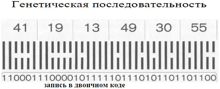 Когда мы начали наше исследование перед нами стояла непростая задача - фото 3