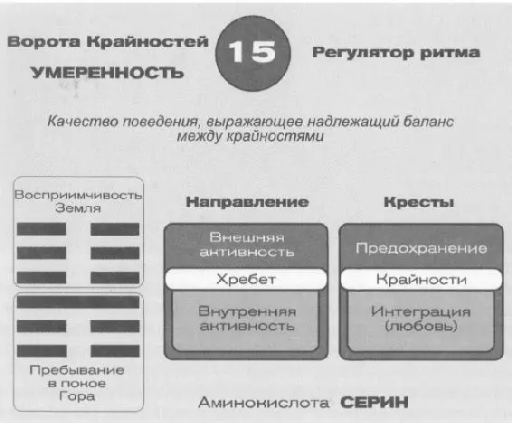 С точки зрения питания здесь заключена наша способность справляться с - фото 29
