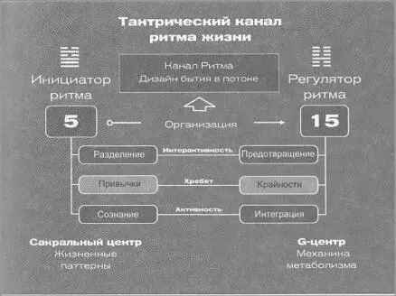 На уровне активности это принятие или другим словом любовь Хребтом здесь - фото 30