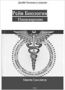 Мартин Грассингер Рейв Биология. Пищеварение обложка книги