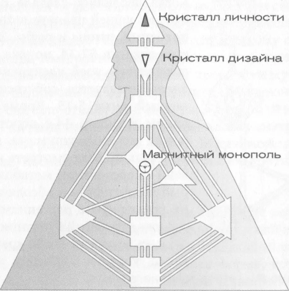 На последнем этапе эволюционного развития все меняется единственное что - фото 8