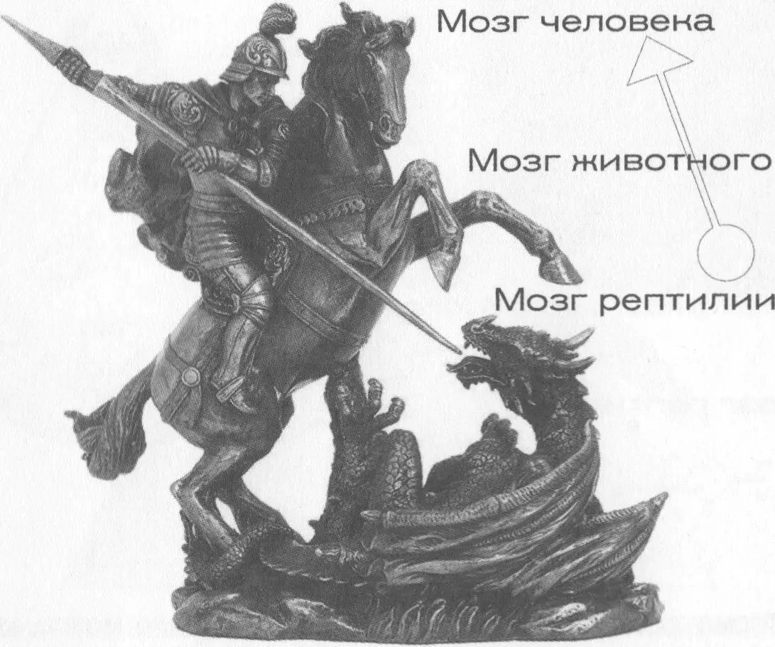 Но у всего есть обратная сторона для иммунной системы способность убивать - фото 10