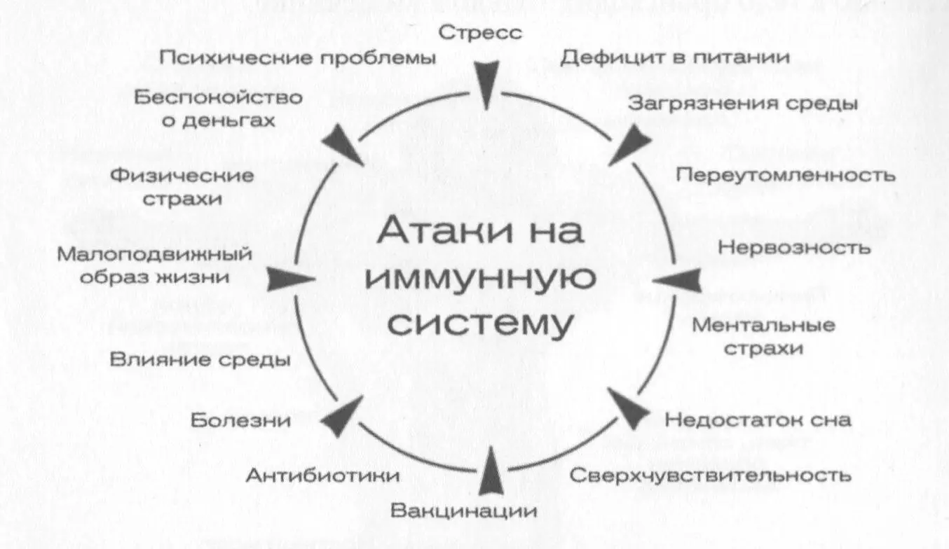 Посмотрите на периметр атак которые должны быть отражены иммунной системой И - фото 25