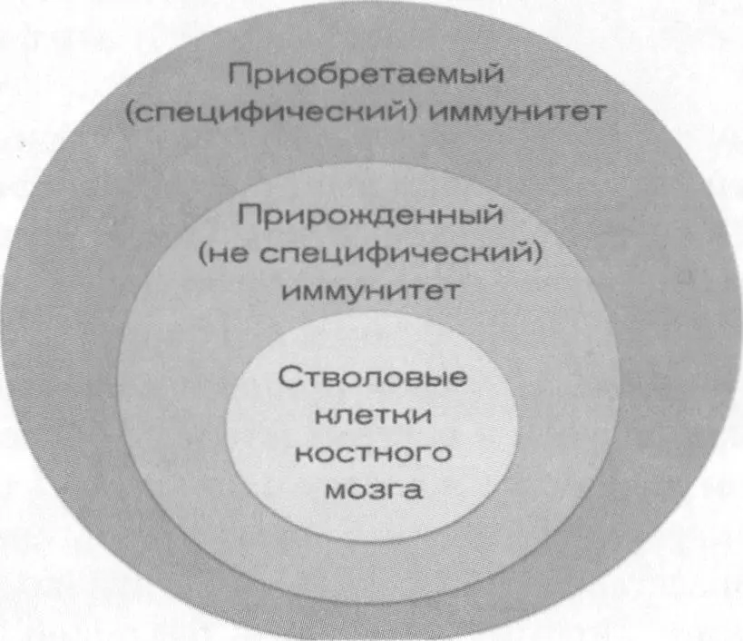 Представьте что угроза распознана и необходимо прислать подкрепление но - фото 29