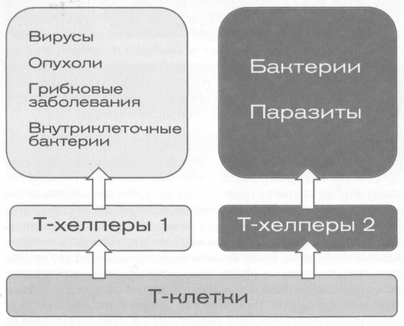 Давайте вернемся к клетке с ее каналом 515 и мутационным потенциалом в 3х - фото 31