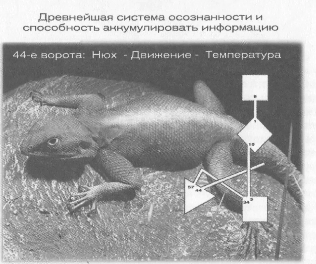 44е ворота называются идущий навстречу и это часть креста Четырех Путей Это - фото 39
