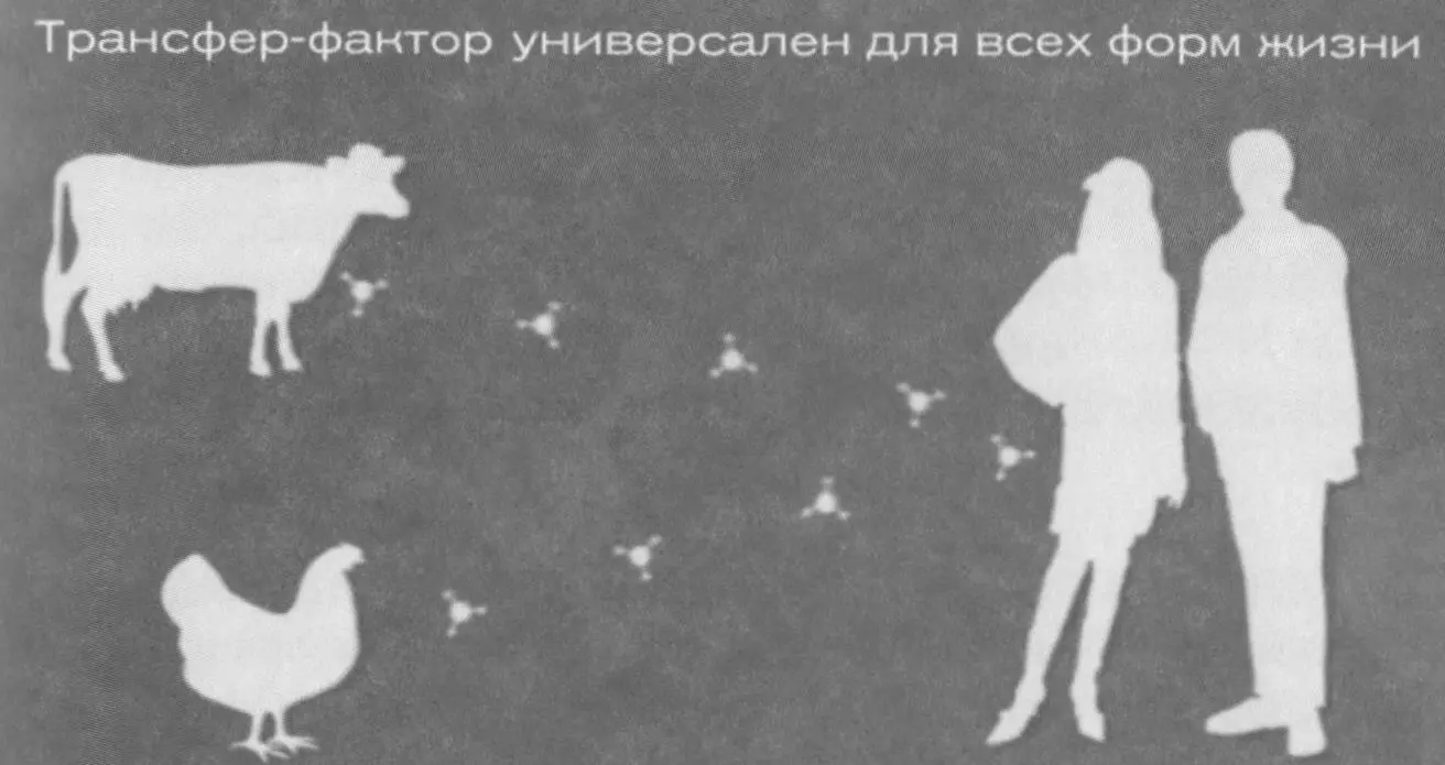 У Лоуренса была такая же ситуация он нашел то что не было известно и чему - фото 43