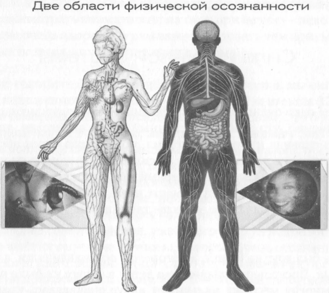 Окей На этом мы закончим Я надеюсь что та информация которой я с вами - фото 68