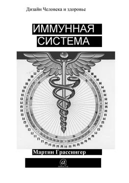 Мартин Грассингер Имунная система обложка книги