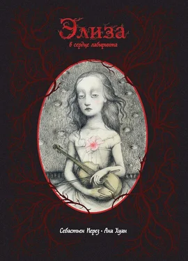 Себастьен Перез Элиза в сердце лабиринта обложка книги