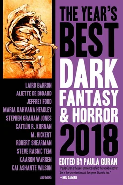 Каарон Уоррен The Year's Best Dark Fantasy and Horror 2018 Edition обложка книги