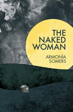 Armonía Somers The Naked Woman обложка книги