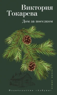 Виктория Токарева Дом за поселком: Рассказы и очерк [сборник] обложка книги