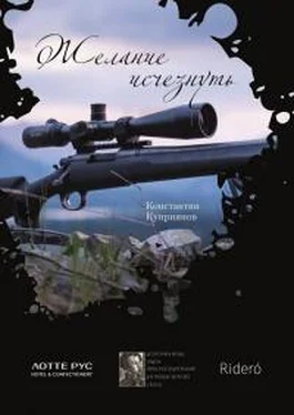 Константин Куприянов Желание исчезнуть обложка книги