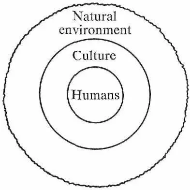 The rigid lines between these concentric circles like the plus mark in the - фото 4