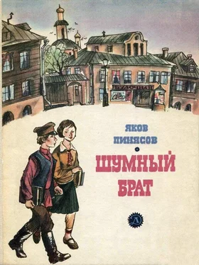Яков Пинясов Шумный брат обложка книги