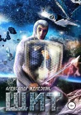 Александр Железняк Щит [СИ] обложка книги