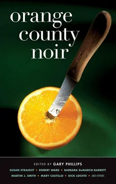 Сьюзен Стрейт Orange County Noir обложка книги