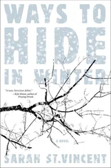 Sarah St.Vincent - Ways to Hide in Winter