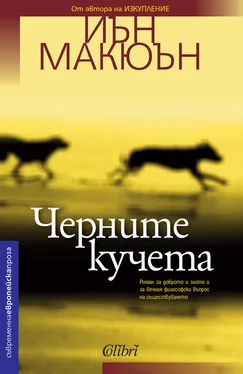 Иэн Макьюэн Черните кучета обложка книги