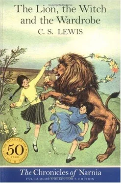 Clive Lewis The Lion, the Witch and the Wardrobe обложка книги