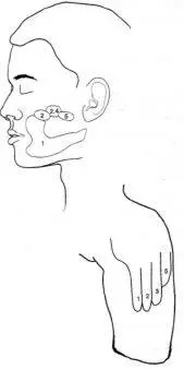Figure 22 Points on the body surface that yielded referred sensations in the - фото 5