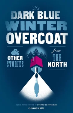 Хьелль Аскильдсен The Dark Blue Winter Overcoat and Other Stories from the North обложка книги