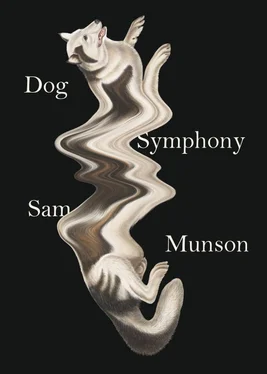 Sam Munson Dog Symphony обложка книги