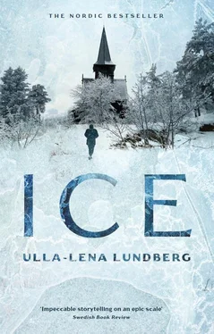 Ulla-Lena Lundberg Ice обложка книги