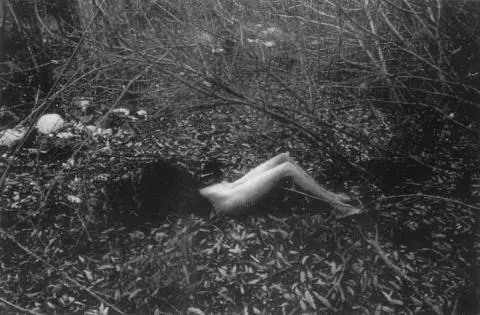 CAROL MILLER Born June 20 1954 Died February 8 1990 The killer posed - фото 47