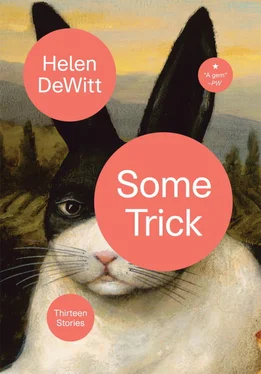 Хелен Девитт Some Trick: Thirteen Stories обложка книги