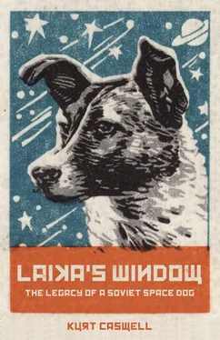 Kurt Caswell Laika's Window обложка книги