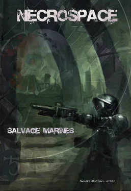 Sean-Michael Argo Salvage Marines обложка книги