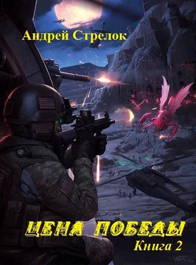 Андрей Стрелок Цена победы. Книга 2 (СИ) обложка книги