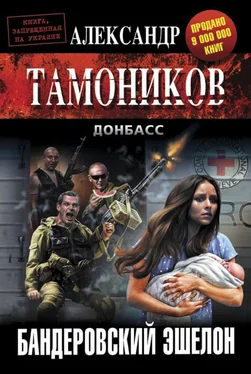 Александр Тамоников Бандеровский эшелон обложка книги