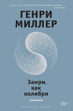 Генри Миллер Замри, как колибри [сборник] обложка книги