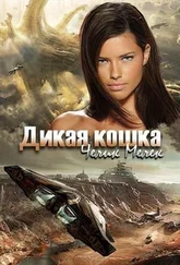 Мелек Челик - Дикая кошка [СИ]