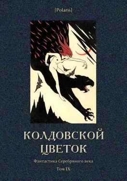 Иван Евдокимов Колдовской цветок [Фантастика Серебряного века. Том IX] обложка книги