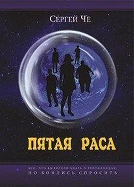 Сергей Че Пятая раса [СИ] обложка книги