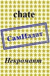 chate - Некромант [СИ]